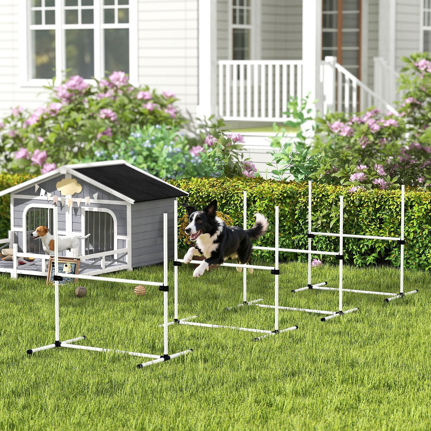 4 - Piece Adjustable Dog Agility Jump Set | Professional Indoor & Outdoor Dog Training Kit | High - Jump Obstacle Course with Displacing Safety Bar & Carry Bag - Phoenix