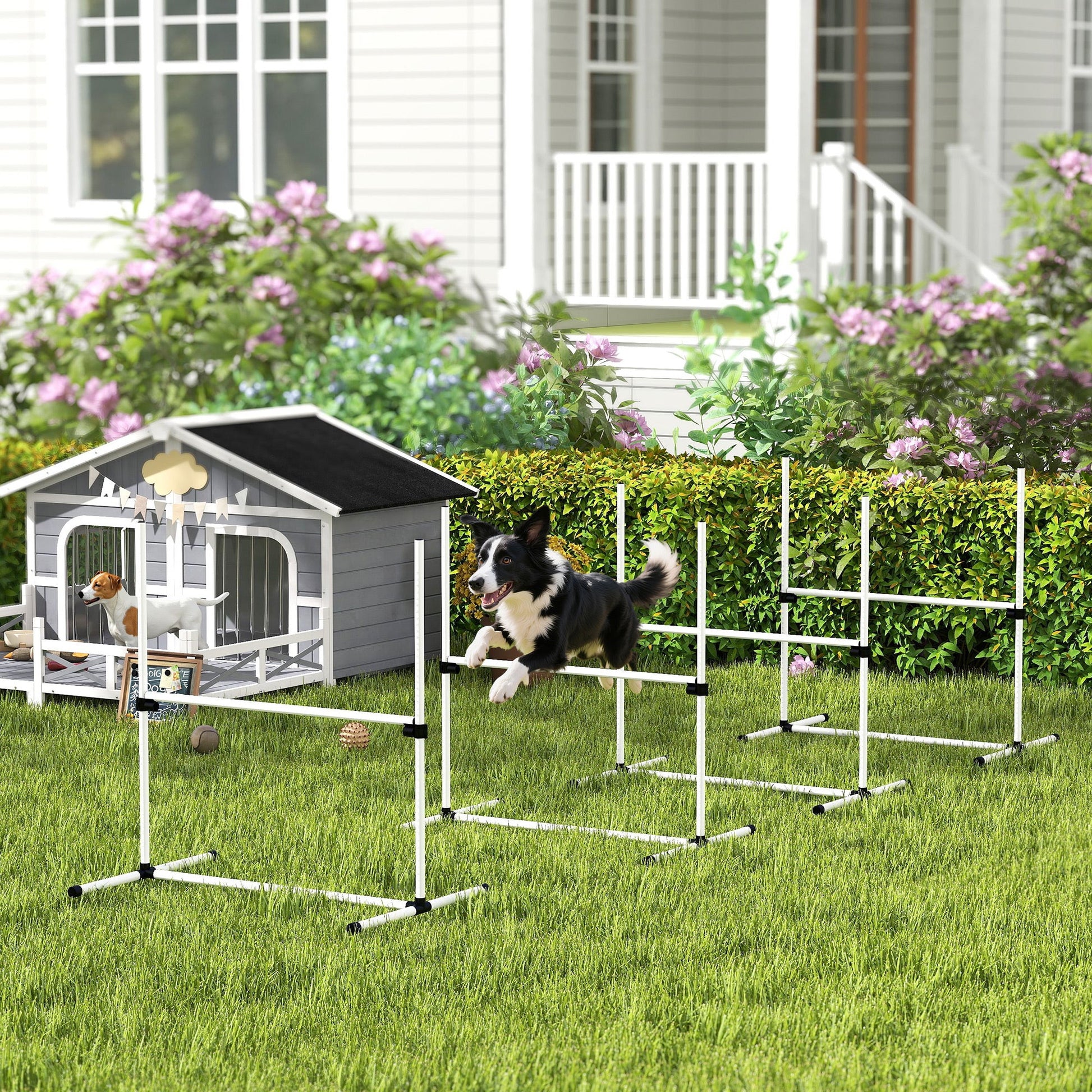 4 - Piece Adjustable Dog Agility Jump Set | Professional Indoor & Outdoor Dog Training Kit | High - Jump Obstacle Course with Displacing Safety Bar & Carry Bag - Phoenix