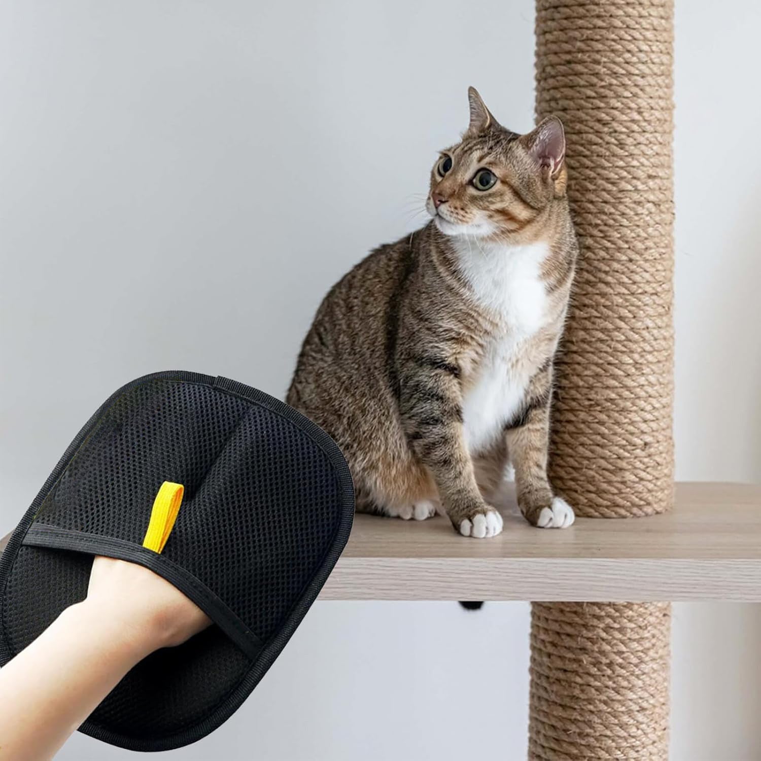Pet Electrostatic Hair Removal Gloves Two - way Bristle Remover Hair Removal Brush Sticky Hair Artifact Cat Hair Gloves Cat Hair Removal Comb - Phoenix
